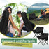 Seeloowy 2 Pack 600D 330lbs(Black) Compact Camping Chairs Portable Folding for Outside with Carry Bag Lightweight Moon