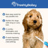 Dog & Cat Combs for Grooming Long Haired Cats & Dogs - Top Detangler Brush for Long & Curly Hair, Perfect for