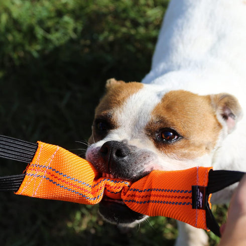 Bungee Dog Bite Tug Toy with 2 Strong Handles - Durable Fire Hose Toy for Medium to Large Dogs, Orange.