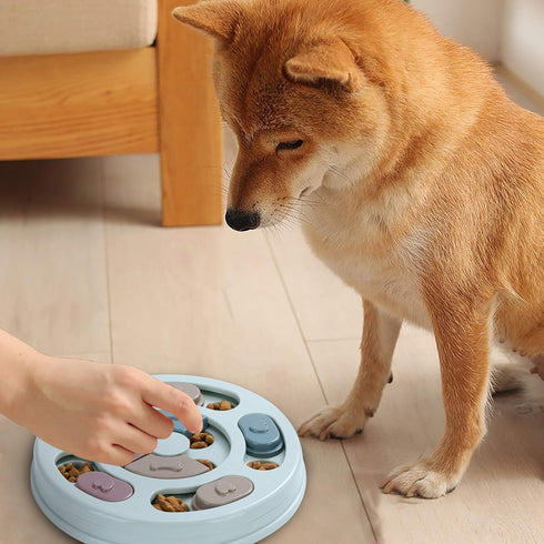 DR CATCH L9.44" W9.44" H1.14" Interactive Dog IQ Puzzle Toy - Blue, Size: x x