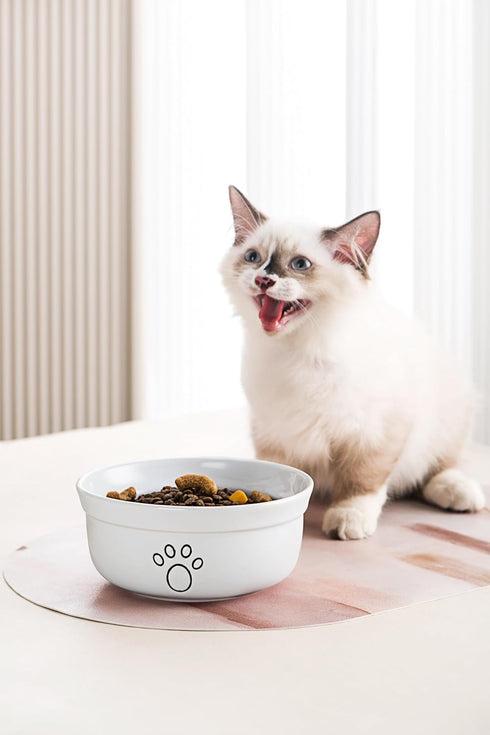 Ceramic Dog Bowls for Cats and Small Dogs, Pet Feeding Bowls 20 oz (6", Blue/Pink/White)
