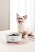 Ceramic Dog Bowls for Cats and Small Dogs, Pet Feeding Bowls 20 oz (6", Blue/Pink/White)