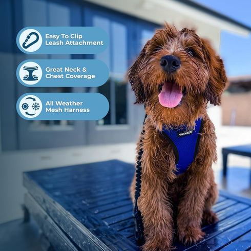 Best Pet Supplies All Weather Mesh Reflective No Pull Harness for Small, Medium Dogs, Cats - Royal Blue/Black Trim, S