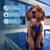 Best Pet Supplies All Weather Mesh Reflective No Pull Harness for Small, Medium Dogs, Cats - Royal Blue/Black Trim, S