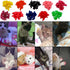 100pcs 5 VICTHY Cat Nail Caps, Medium Size Colors, with Glue and Applicators, Natural Vinyl Resin, Long-lasting