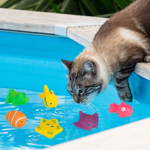 Dwuww 6 Swimming Pcs Pool Cat Interactive, Cat Floating Water, Pool, Pet Kitten Bathing Fish,Interactive for Indoor