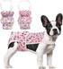 2 Pack ASENKU Dog Diapers Female Dogs, Dog Suspenders Reusable Doggie Diapers for Female Dogs Small,Washable Dog Period
