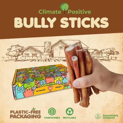 Bully Sticks 100% Natural Beef Dog Chews, 6” Premium Quality Healthy Treats for Training, 12Pcs 340g