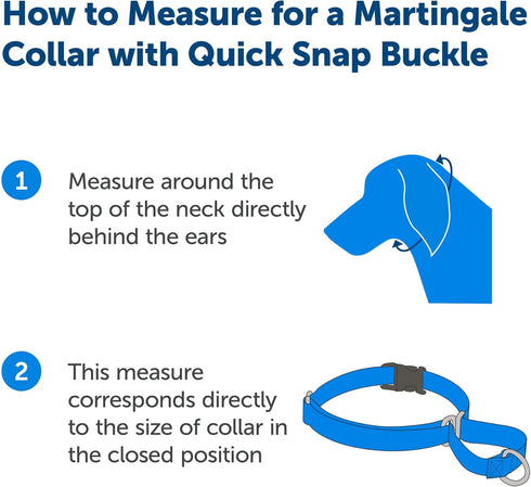 PetSafe Martingale Dog Collar - Medium, 1 Inch, Raspberry - Quick-Snap Buckle