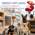 Cat Brushes For Indoor Cats, Cat Shedding Brush With Pet Flea Comb & Pet Nail Clippers, Slicker Brush For Dogs & Rabbit