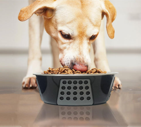 SPOT by Ethical Products Non Slip Stainless Steel Dog Bowl - Durable Food and Water Pet Dish, Dishwasher Safe, Black
