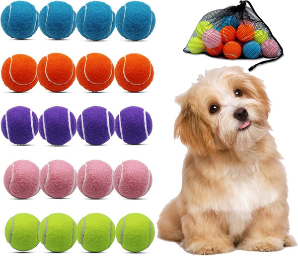 Magicorange Small Tennis Balls, 20 Pack 2 inch Tennis Balls for Dogs,