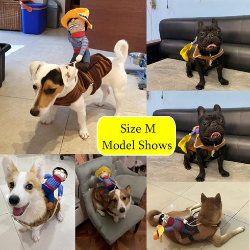 SEIS Pet Riding Costume Novelty Pet Supplies Cowboy Rider Horse Riding Designed Dog Apparel Party Clothing Halloween (M)