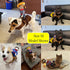 SEIS Pet Riding Costume Novelty Pet Supplies Cowboy Rider Horse Riding Designed Dog Apparel Party Clothing Halloween (M)
