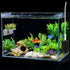 2Pack Aquarium Shelf, Transparent Acrylic Ledge Plants Holder with Strong Suction Cups for Fish Tank Decorations