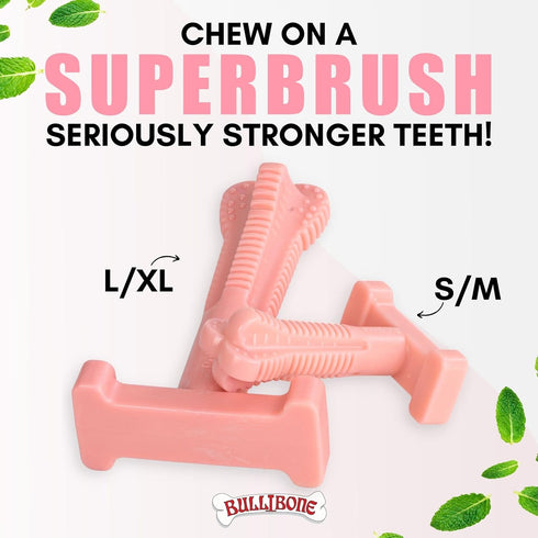 Bullibone SuperBrush Dog Toothbrush Stick, Long Lasting Nylon Chew Toy, Pink Peppermint for Oral Care