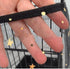 TJCGCKK 2 PCS Mesh Bird Cage Seed Catcher Cover, Birdcage Skirt Guard Mesh Netting Twinkle Star for Round Square Cage