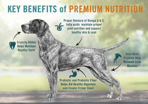 Immune 4.5lb (Pack 2) Chicken Soup for the Soul All Natural Premium Adult Dry Dog Food, Real Meat First Ingredient, No