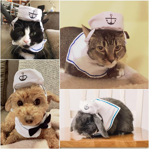 NAMSAN Pet Sailor Costume for Cats & Small Dogs - Cat Halloween Costumes, Navy Outfit with Hat