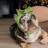 KUDES 2 Pack Pet Cute Bow Headbands, Stretchy Bow Headgear for Dog Cat Puppy Bathroom Hair Accessories, Light Green +