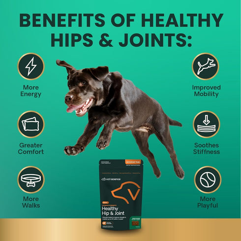 VetriScience Ultimate Strength Healthy Hip & Joint Chews, 60 Count, Duck Flavor for Joint Support
