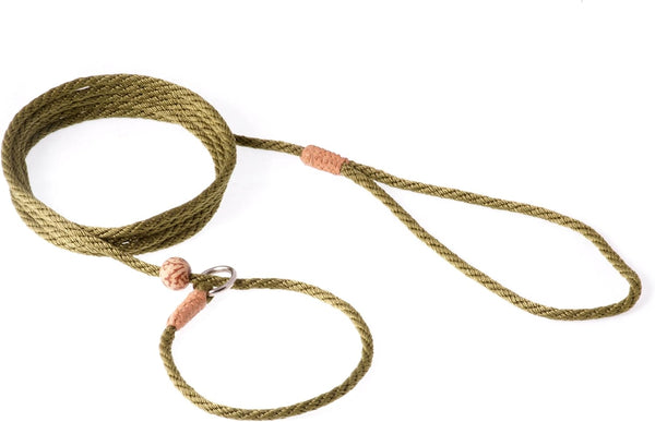 Alvalley Adjustable Nylon Dog Training Leash with Stopper, Braided Leather Ends