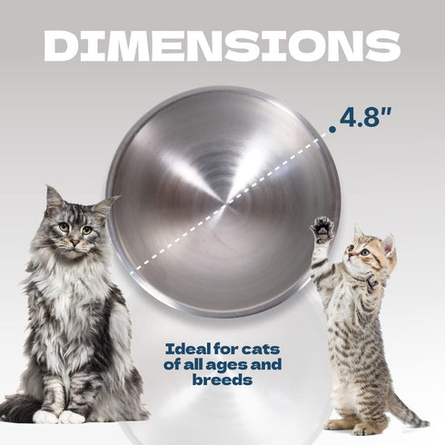Raised Cat Food Bowls, Two Replacement Bowls Set, Elevated Tilted Stainless Steel Feeding Bowls