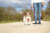 EzyDog Zero Shock Lite Bungee Dog Leash for Small Dogs, Perfect for Dogs 26 lbs or Less, 72, Denim