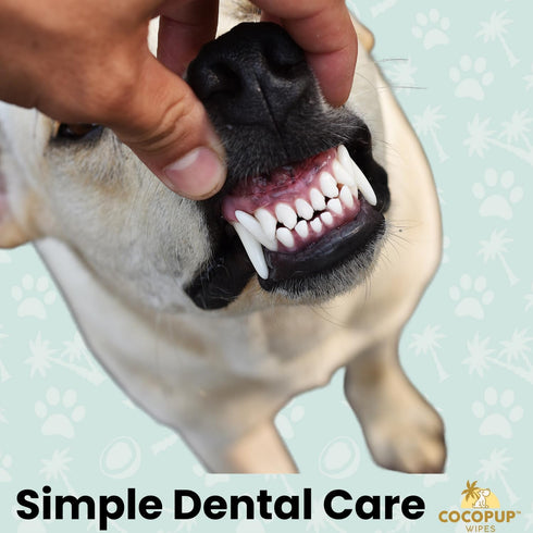 Dog Teeth Cleaning Wipes, Ear Nose Paws Fur Cleaner with Pure Coconut Oil