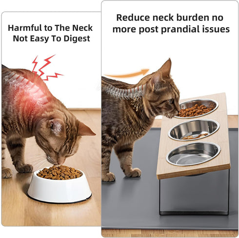 Upgraded Elevated Cat Bowls with Food Mat, 15° Tilted Stand Anti Vomiting Raised Dishes for Cats and Puppy