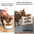 Upgraded Elevated Cat Bowls with Food Mat, 15° Tilted Stand Anti Vomiting Raised Dishes for Cats and Puppy