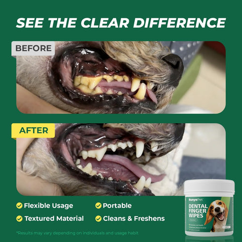 100 Count Dog Dental Wipes - Dog Finger Toothbrush & Teeth Cleaning Wipes, Pet Dental Finger Wipes for Dogs & Cats