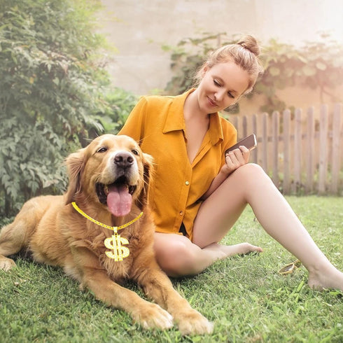 FUNKA Gold Chain Dog Collar - Adjustable Cuban Link Necklace with Crystal Dollar Sign Pendant for Cute Fashion Pet
