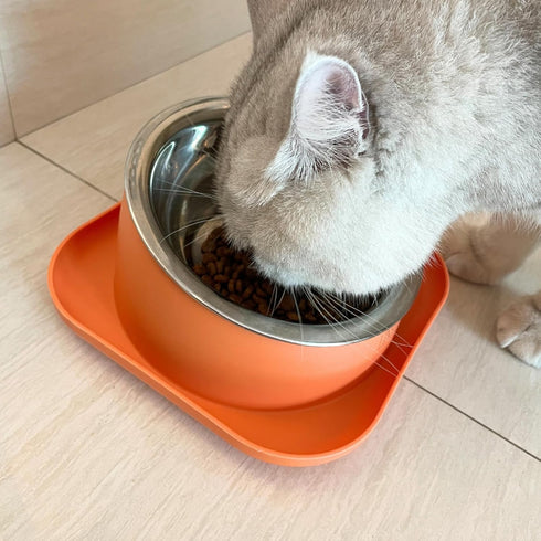 Elevated Cat Food Bowl, Tilted Feeding Stand, Whisker Friendly Slanted Feeder, Orange