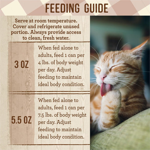Merrick Purrfect Bistro Grain Free Premium Soft Canned Pate Adult Wet Cat Food, High Protein Turkey Recipe, 3 oz (Pack