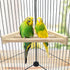 Litewoo Bird Perch Corner Platform Stand for Budgies and Parakeets