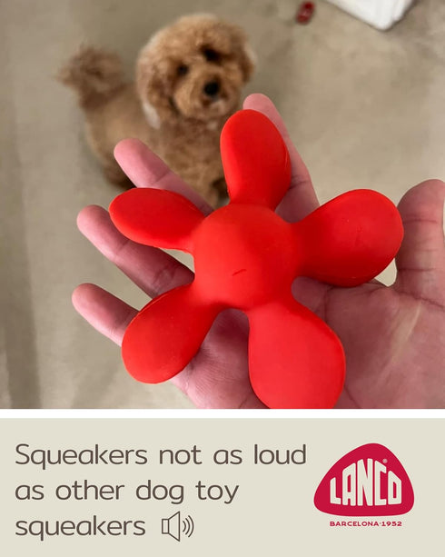 5" Puppy Toy - Squeaky Dog Toy - Soft - Natural Rubber Latex - in Diameter - Small Breeds & Puppies