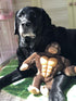 IOEN Patent Gum Massage Interactive Dog Chew Toys - Durable Plush Squeaky Toy for Medium/Large Dogs, 12 Inches