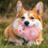 6 Pack Puppy Toys for Teething Small Dogs, Soft Squeaky Chew Toys for Small Breed Cleaning Doggy Teeth