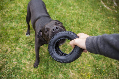 Mammoth TireBiterII – Natural Rubber Dog Toys for Extreme Chewers, Extra Long Interactive Play for Medium - Large Dogs