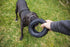 Mammoth TireBiterII – Natural Rubber Dog Toys for Extreme Chewers, Extra Long Interactive Play for Medium - Large Dogs