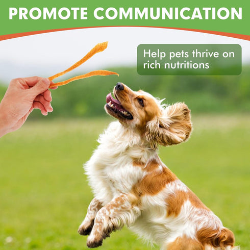 MON2SUN Dog Treats - Chicken Jerky Strips for Small Dogs, High Protein & Grain Free Dog Snacks (Chicken, 10.58 Ounce)