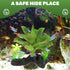 TEHAUX Reptile Terrarium Plants Artificial Greenery Decorations for Spider Scorpion Lizard Tanks Habitat Ornament