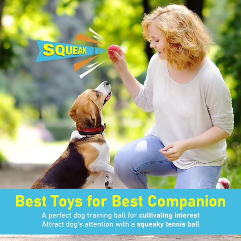 PrimePets Mini 2 Inch Squeaky Tennis Balls for Dogs, Interactive Dog Toy Balls for Indoor Outdoor