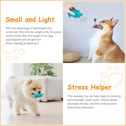 WishLotus Natural Latex Dog Squeak Toy, 2pcs Pig-Shaped Chew Toy for Teeth Cleaning, Mini Toy for Small Dogs