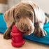 Spunky Pup Hydrant Dog Toy, Fill with Treats or Kibble | Rugged Double Wall Textured Rubber | Promotes Healthy Teeth
