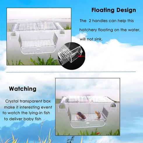 capetsma Acrylic Fish Breeding Box with Suction Cups, Isolation Hatchery Incubator for Baby Fishes, Small Size (S)