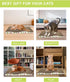 Cat Scratching Board - Corrugate Cat Scratcher with Catnip, Double-Sided Usability, Pack of 2