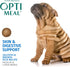 OPtimeal Sensitive Skin and Stomach Dog Food - Salmon & Brown Rice, Tasty Dry Recipe, Medium/Large Adult Dogs (8.8