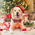 Malier Christmas Classic Plaid Dog Collar with Bow Tie, Adjustable Buckle for Small Medium Large Pets - S